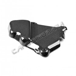 Carbon pick-up cover for BMW S 1000 R 2017 2020