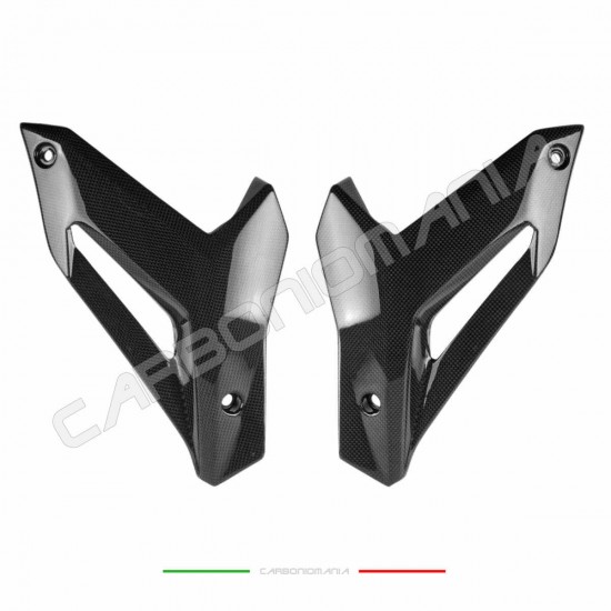 Puntale carbonio BMW S 1000 R 2014 2016 | Bmw Immagine