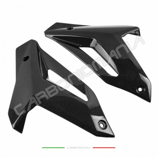 Puntale carbonio BMW S 1000 R 2014 2016 | Bmw Immagine