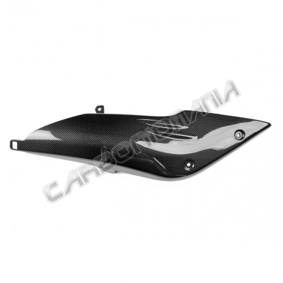 Fianchetto destro sotto serbatoio carbonio BMW R NINE T 2014 2018 Performance Quality | Bmw Immagine