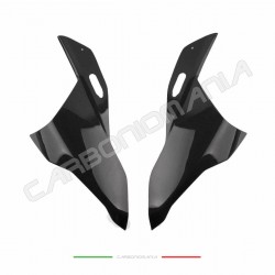 Fianchetti cupolino carbonio BMW S 1000 RR 2019 2024