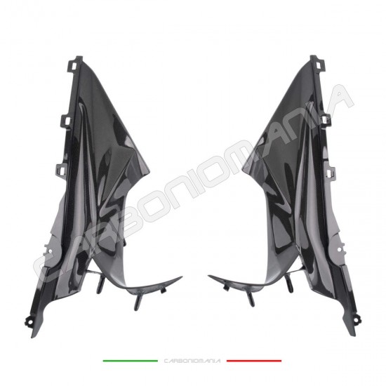 Immagine Copri condotti carbonio BMW S 1000 RR 2019 2024 | Bmw