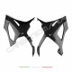 Carene laterali inferiori carbonio BMW S 1000 RR 2019 2024 | Bmw Immagine