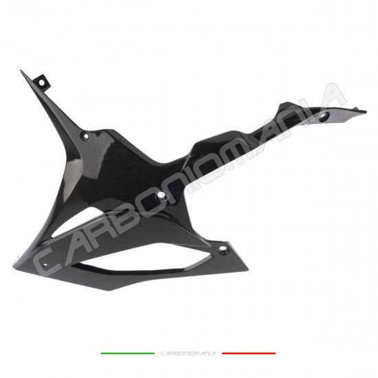 Lower side fairings in carbon BMW S 1000 RR 2019 2022 Bmw, S 1000 RR 19-22, Carbon, Performance Quality Line image