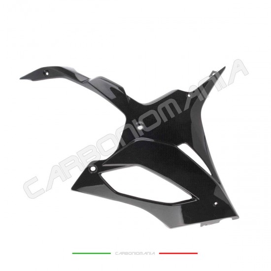 Carene laterali inferiori carbonio BMW S 1000 RR 2019 2024 | Bmw Immagine