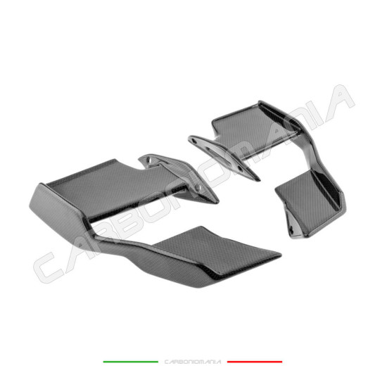 Immagine Alette aerodinamiche carbonio BMW S 1000 R 2021 2024 / M 1000 R 2023 2024 Performance Quality | Bmw