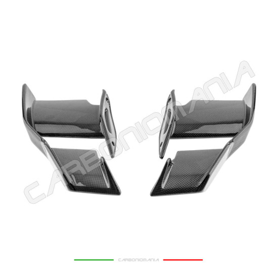 Immagine Alette aerodinamiche carbonio BMW S 1000 R 2021 2024 / M 1000 R 2023 2024 Performance Quality | Bmw