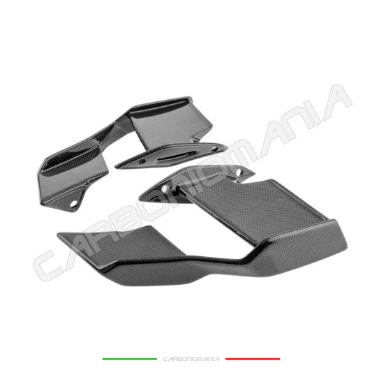 Immagine Alette aerodinamiche carbonio BMW S 1000 R 2021 2024 / M 1000 R 2023 2024 Performance Quality | Bmw