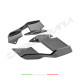 Immagine Alette aerodinamiche carbonio BMW S 1000 R 2021 2024 / M 1000 R 2023 2024 Performance Quality | Bmw