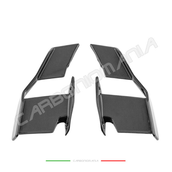 Immagine Alette aerodinamiche carbonio BMW S 1000 R 2021 2024 / M 1000 R 2023 2024 Performance Quality | Bmw