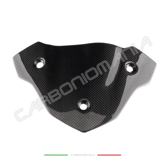 Front fairing cover in carbon fiber BMW S 1000 R 2017 2020 Performance Quality | Bmw image