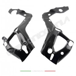 Carbon frame protectors BMW S 1000 R 2021 2022  Performance Quality