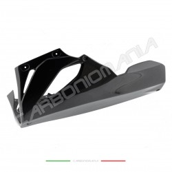 Vasca inferiore carbonio BMW S 1000 RR 2019 2022