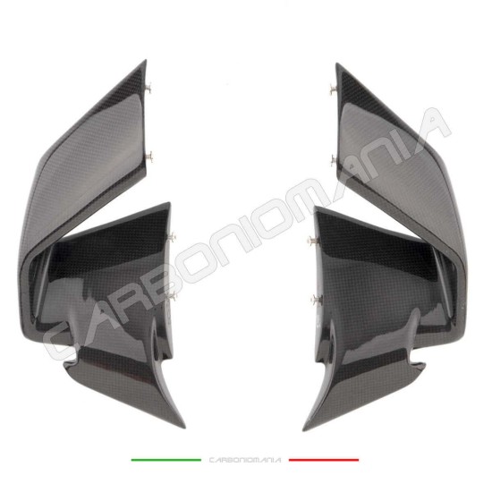 Alette aerodinamiche in carbonio BMW S 1000 RR 2019 2022 | Bmw Immagine