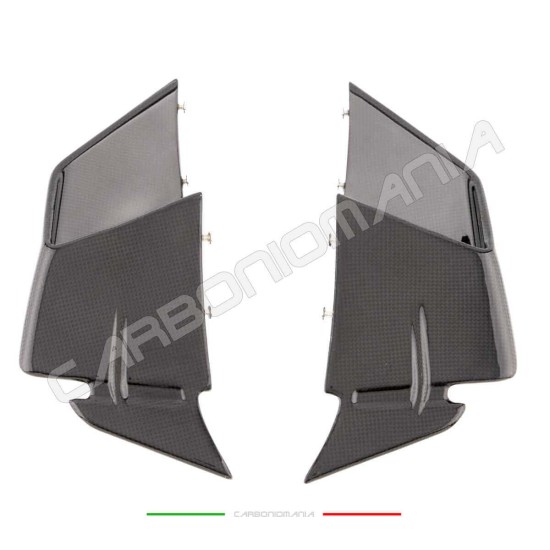 Alette aerodinamiche in carbonio BMW S 1000 RR 2019 2022 | Bmw Immagine
