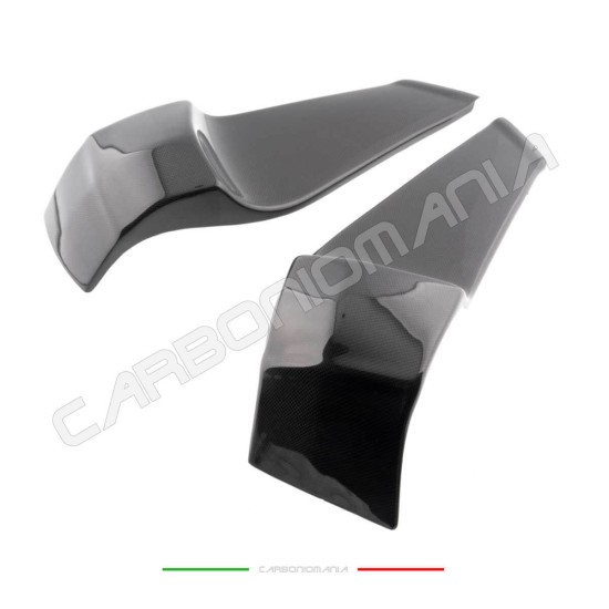 Immagine Copri telaio in fibra di carbonio Buell XB9 - XB12 Performance Quality | Buell