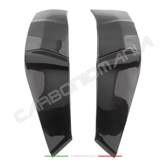 Immagine Copri telaio in fibra di carbonio Buell XB9 - XB12 Performance Quality | Buell