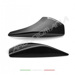 Glossy carbon tail sliders protectors Ducati Streetfighter V4 / V4S (Strauss Line)