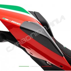 Protezioni sliders codino carbonio lucido Ducati PANIGALE V4/V4S/V4R (Linea Strauss)
