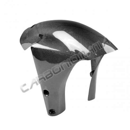 Carbon front fender Ducati 748 916 996 998 Verione RS | Ducati image