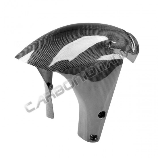 Carbon front fender Ducati 748 916 996 998 Verione RS | Ducati image