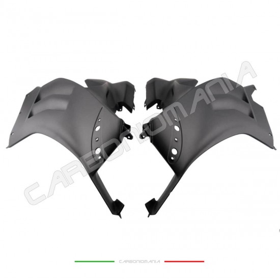Carene laterali carbonio opaco Ducati PANIGALE V4R Performance Quality | Ducati Immagine