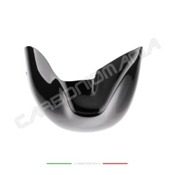 Puntale vasca carbonio Ducati Monster S2R S4R RS Performance Quality