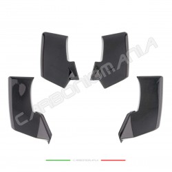 Alette aerodinamiche winglets carbonio Ducati Streetfighter V4/V4S Performance Quality
