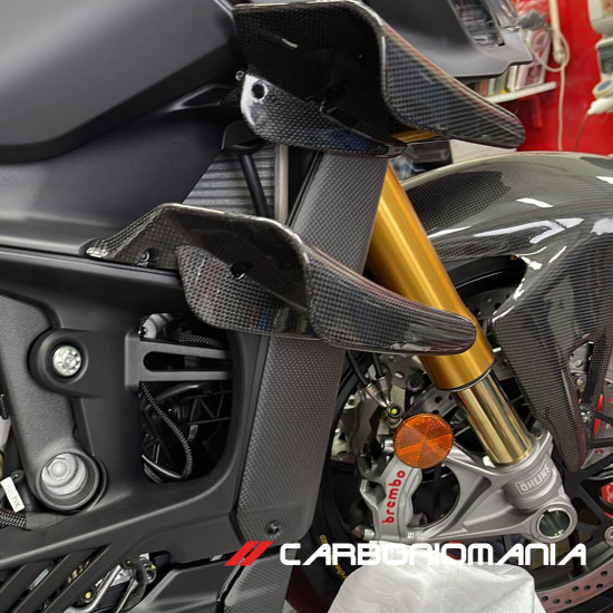 Immagine Alette aerodinamiche winglets carbonio Ducati Streetfighter V4/V4S Performance Quality | Ducati