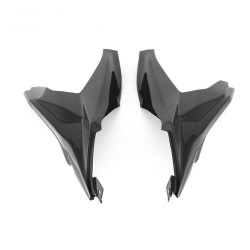 Frame protections in carbon Ducati Panigale 959, V2 (2020) (FULLSIX Line)
