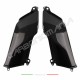 Fianchetti laterali serbatoio in fibra di carbonio Kawasaki Z 900 2017 2018 Performance Quality | Kawasaki Immagine