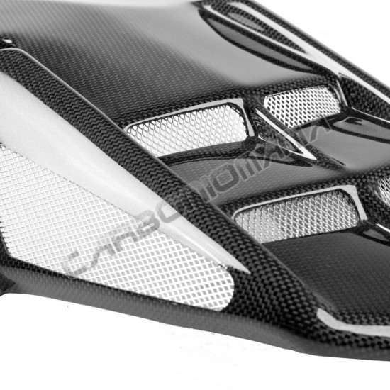 Rear mudguard in carbon fiber Triumph Daytona 675 2006 2012 Performance Quality | Triumph image