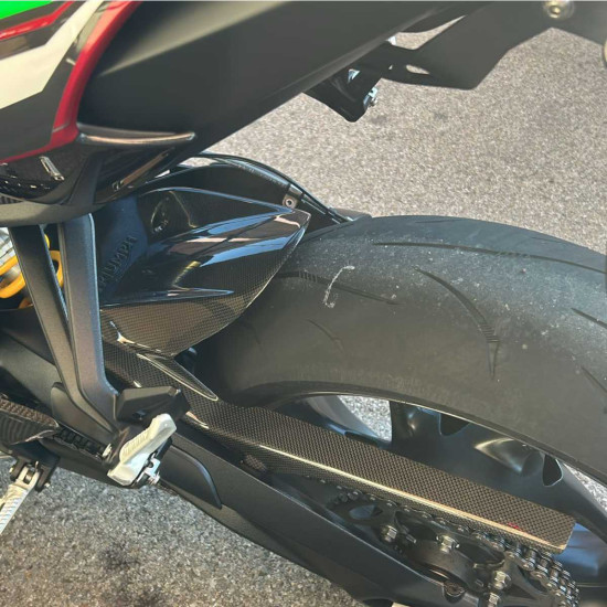 Parafango posteriore carbonio Triumph Street Triple 765 RS 2023 2024 Performance Quality | Triumph Immagine