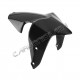 Immagine Parafango anteriore in carbonio Ducati Monster 821 1200 1200 S 2014 Performance Quality | Ducati