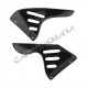 Fianchetti protezioni radiatore carbonio Ducati Monster S4 S4R S4RS Performance Quality | Ducati Immagine