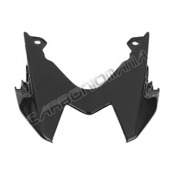 Carbon central tail for BMW S 1000 R 2017 2020 