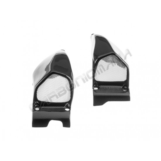 Condotti aria prese aria carbonio Ducati Streetfighter Performance Quality | Ducati Immagine