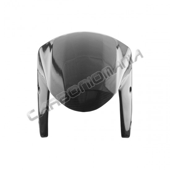 Immagine Parafango anteriore in carbonio Kawasaki ZX-10 R 2008 2010 | Kawasaki